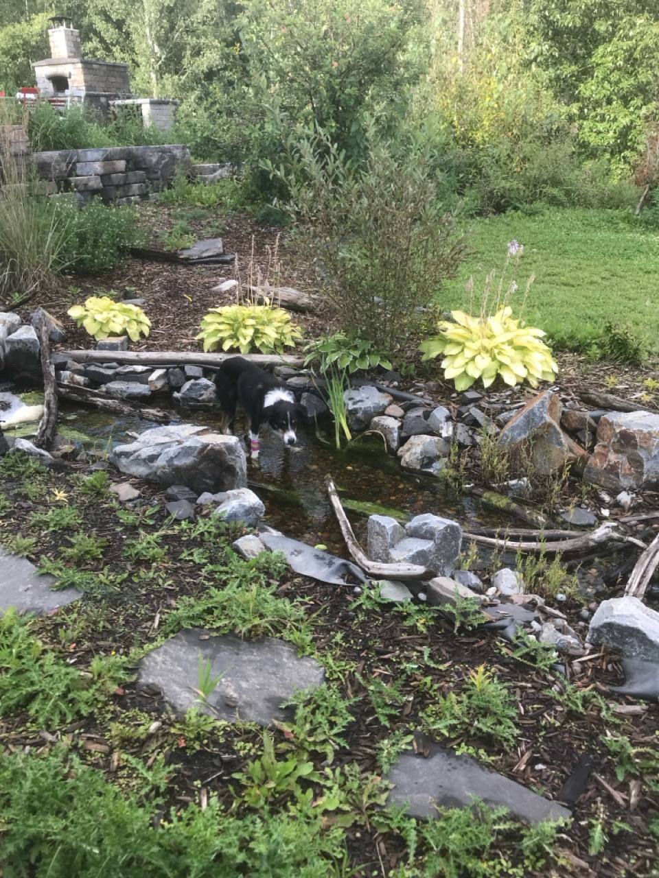 River & Stream